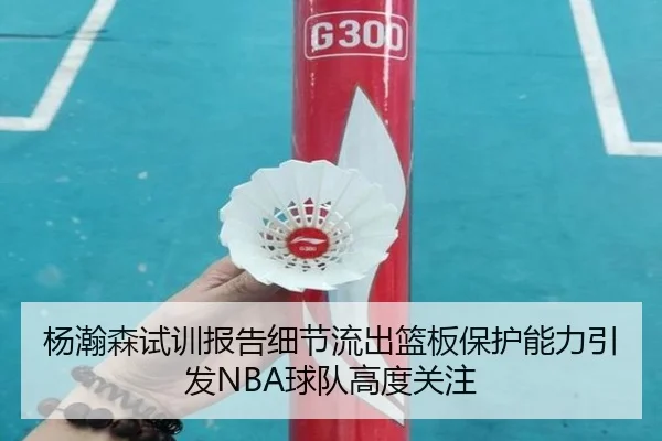 杨瀚森试训报告细节流出篮板保护能力引发NBA球队高度关注（BaccaraGaming）